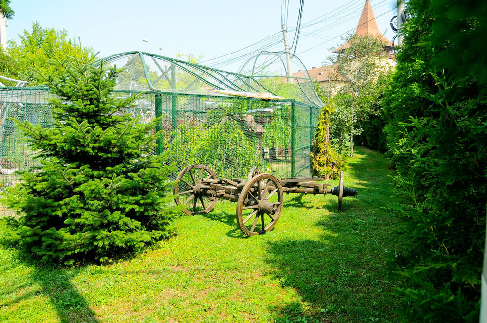Pension La Cupola Târgu-Mureş Zewnętrze zdjęcie